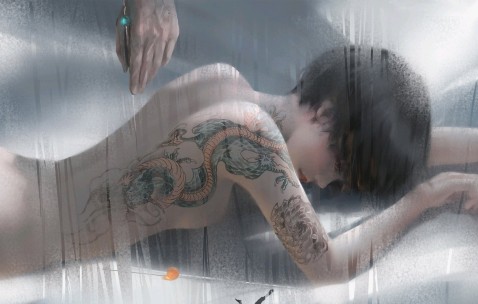 fsh是卵泡刺激素吗,卵泡刺激激素fsh偏高 